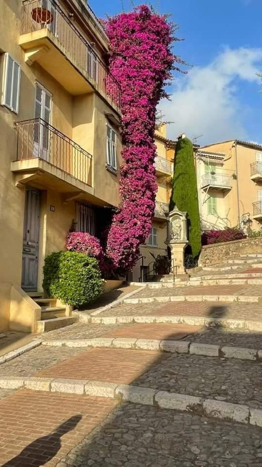 Cannes & More Exteriör bild